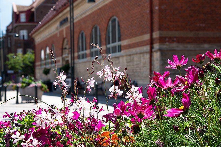 Fasaden på Saluhallen i Lund. I förgrunden syns blommande blommor.